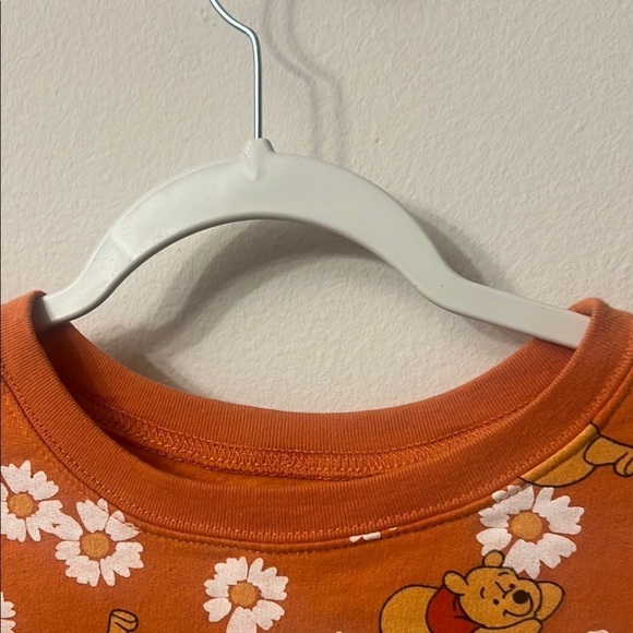 Rusty Orange Winnie the Pooh Crewneck Sweater Floral Print pit to pit 21 (331) - Picture 7 of 8